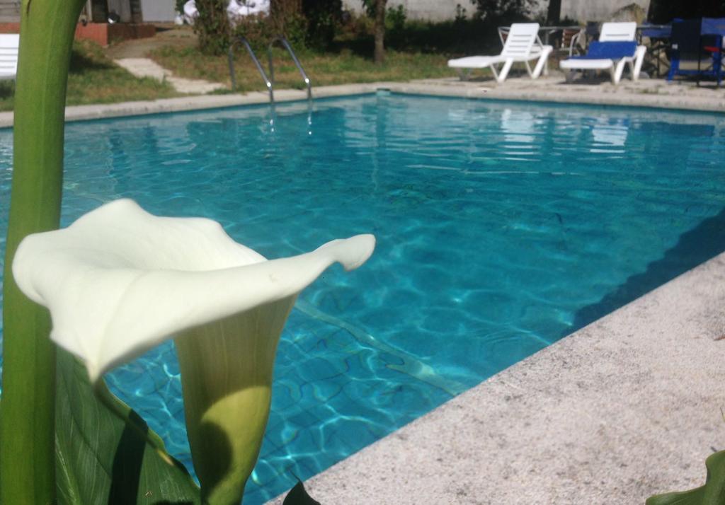 Hotel Vida Playa Paxarinas 波多诺伏 外观 照片